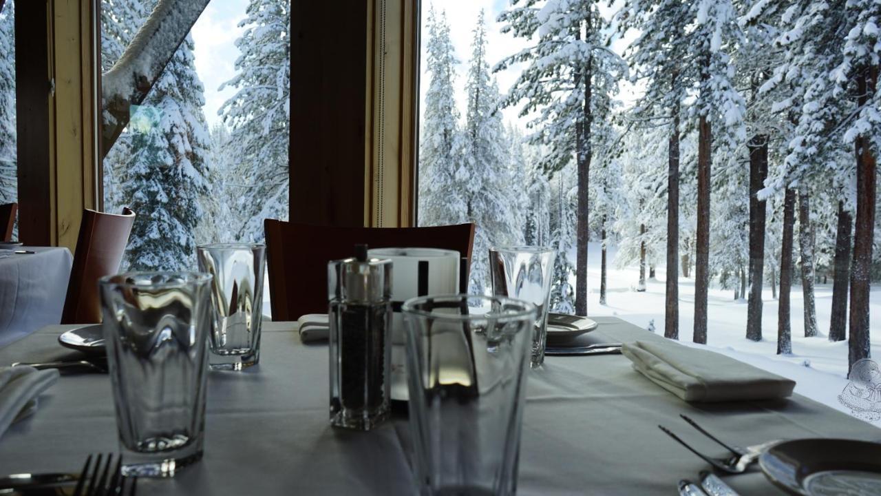 Bear Meadows Lodge - Hot Tub - Tahoe Donner Home Truckee Eksteriør bilde